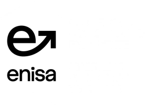 Seal: recognised as an emerging company by ENISA (Empresa Nacional de Innovación, Spain)